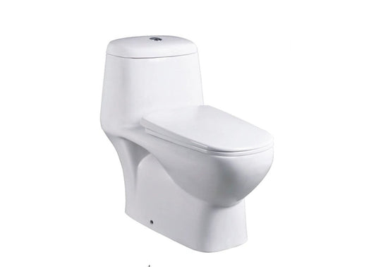 VASILE One-Piece Water Closet - PP Seat Cover (V-518)