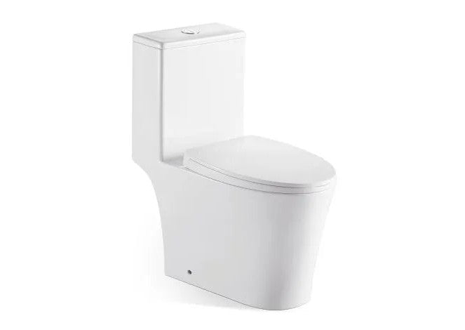 VASILE 1-Piece Toilet Bowl (V-597)